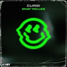 Curbi - What You Like (Extended Mix)
