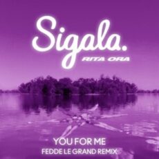 Sigala & Rita Ora - You For Me (Fedde Le Grand Extended Remix)