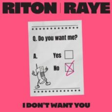 Riton & RAYE - I Don't Want You (Extended Mix)