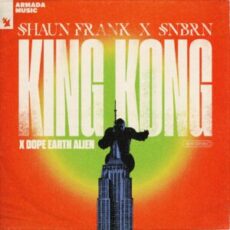 Shaun Frank X SNBRN X Dope Earth Alien - King Kong