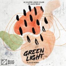 AC Slater & Bleu Clair feat. Kate Wild - Green Light (Flava D Remix)
