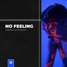 MadTing & Nonesky - No Feeling