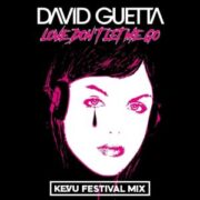David Guetta - Love Don't Let Me Go (KEVU Festival Mix)