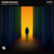 Robbie Mendez - Bring It Back To Me