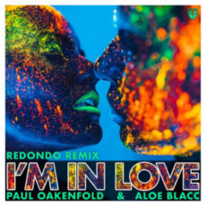 Paul Oakenfold & Aloe Blacc - I'm in Love (Redondo Remix)
