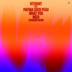 NTEIBINT feat. Matina Sous Peau - What You Need (Tensnake Remix)