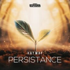 Hayway - Persistance