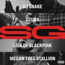 DJ Snake x Ozuna x Megan Thee Stallion x LISA - SG