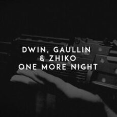 Dwin, Gaullin & ZHIKO - One More Night
