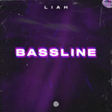 Liah - Bassline (Extended Mix)