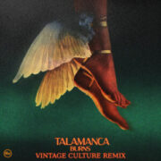 BURNS - Talamanca (Vintage Culture Remix)