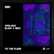 Afrojack & Black V Neck - To The Floor (Extended Mix)