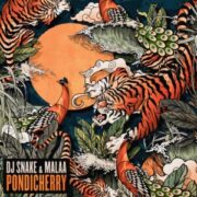 DJ Snake & Malaa - Pondicherry (Extended Mix)