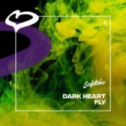 Dark Heart - Stay Fly (Extended Mix)