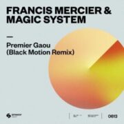 Francis Mercier & Magic System - Premier Gaou (Black Motion Remix)