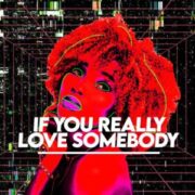 If You Really Love Somebody (Extended Mix)