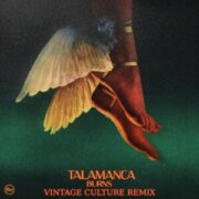 Burns - Talamanca (Vintage Culture Extended Remix)