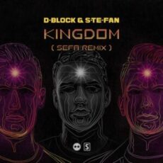 D-Block & S-te-fan - Kingdom (Sefa Remix)