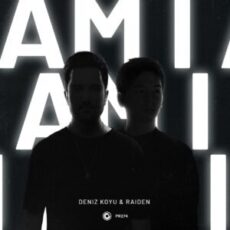 Deniz Koyu & Raiden - Am I (Extended Mix)