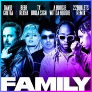 David Guetta - Family (22Bullets Remix)