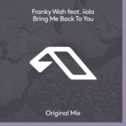Franky Wah feat. iiola - Bring Me Back To You (Extended Mix)