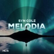 Syn Cole - Melodia