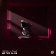 SHAMIL & ZANZ - In The Club (Extended Mix)