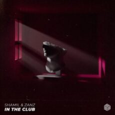 SHAMIL & ZANZ - In The Club (Extended Mix)