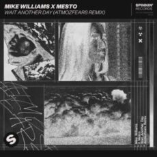 Mike Williams x Mesto - Wait Another Day (Atmozfears Extended Remix)