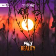 PRDX - Reality
