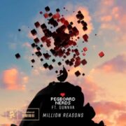 Pegboard Nerds - Million Reasons