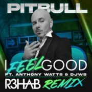 Pitbull feat. Anthony Watts & DJWS - I Feel Good (R3HAB Remix)