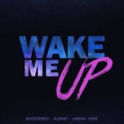 Boostereo x Audino x Karisa Hope - Wake Me Up