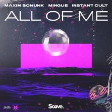 Maxim Schunk, Mingue & Instant Cult - All Of Me (Extended Mix)