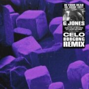 G Jones x RL Grime - In Your Head (CELO & 808gong Remix)