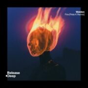 Walden - Fire (Pete K Extended Remix)