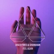 Disco Fries & Shanahan - Feel Again