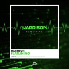 Harrison - Flatlining (Extended Mix)