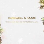 Hardwell & KAAZE - This Is Love (BLK RSE Instrumental Mix)