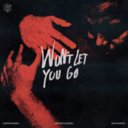 Martin Garrix, Matisse & Sadko - Won't Let You Go (feat. John Martin)