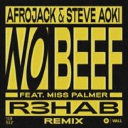 Afrojack & Steve Aoki feat. Miss Palmer - No Beef (R3HAB Remix)