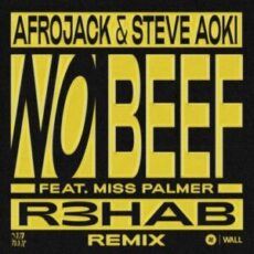 Afrojack & Steve Aoki feat. Miss Palmer - No Beef (R3HAB Remix)