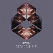 Awiin - MADNESS (Original Mix)