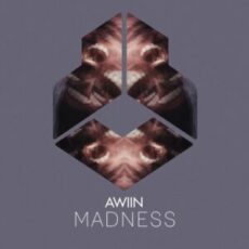 Awiin - MADNESS (Original Mix)