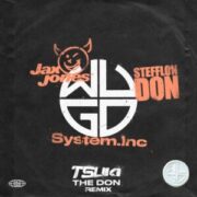 System.Inc, Jax Jones & Stefflon Don - The Don (Tsuki Remix)