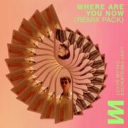 Lost Frequencies & Calum Scott - Where Are You Now (Kungs Remix)
