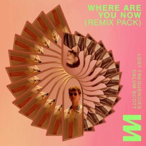 Lost Frequencies & Calum Scott - Where Are You Now (Kungs Remix)