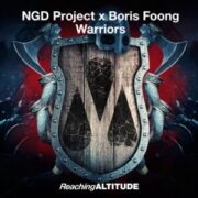 NGD Project x Boris Foong - Warriors
