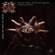Kill The Noise & Wolfgang Gartner - How Ya Like Me Now