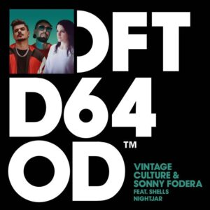 Vintage Culture & Sonny Fodera - Nightjar (Extended Mix)
